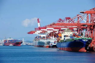 報(bào)關(guān)企業(yè) vs. 進(jìn)出口貨物收發(fā)貨人 理清角色，保障貨物高效通關(guān)